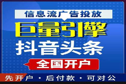 竞价托管与SEO结合的案例分析